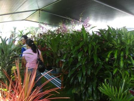 St Joe's Country Fair Hilo Hawaii